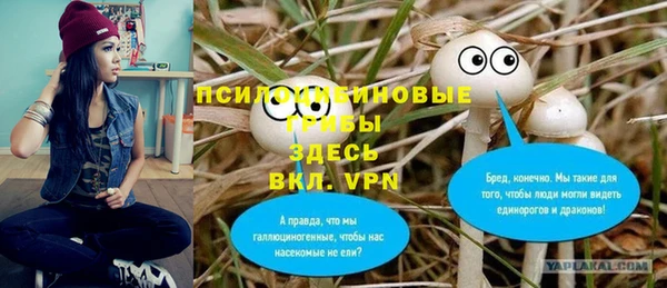 не бодяженный Семёнов