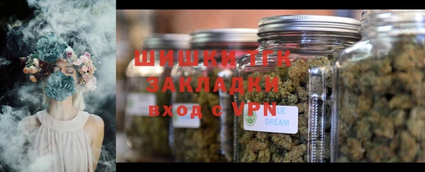 дурь Алзамай