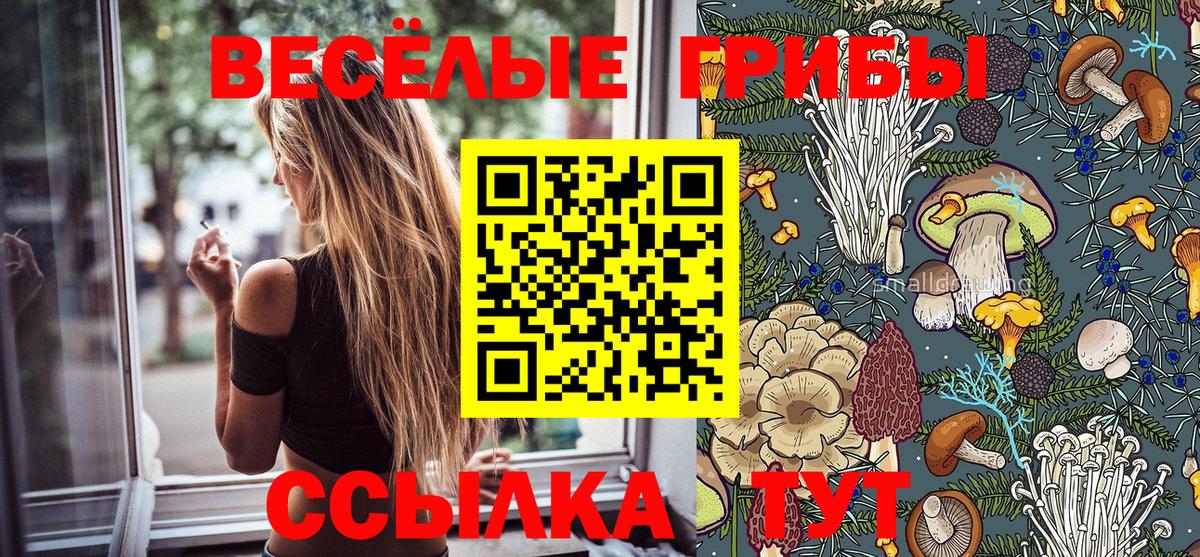 Галлюциногенные грибы GOLDEN TEACHER  Вход с VPN  Асино 